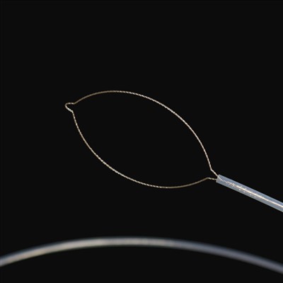 Tipo de mandíbula pinza cuerpo extraño rehegua .