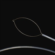 Tipo Neto Pinzas de cuerpo extranjero .